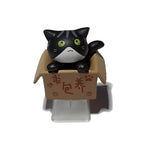 Artisan Keycaps Schwarze Katze in einem Karton
